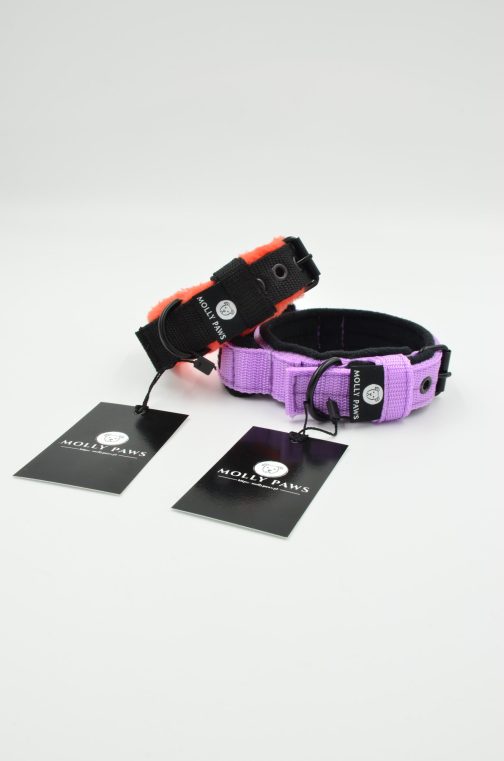 Lekka Obroża z Uchwytem o szer.2.5 z haftem