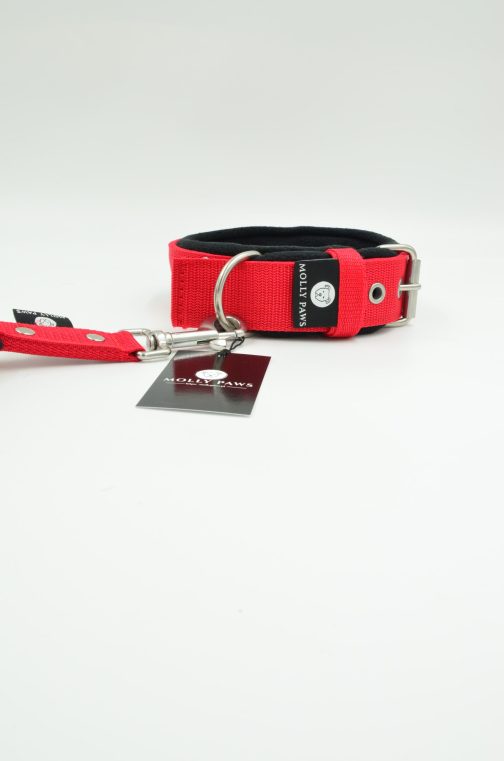 DSC_0426 Lekka Obroża z uchwytem haftem i polarem