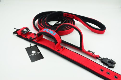 Smycz polarowa z dodatkowym uchwytem i haftem