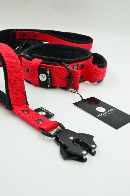 Smycz polarowa z dodatkowym uchwytem i haftem