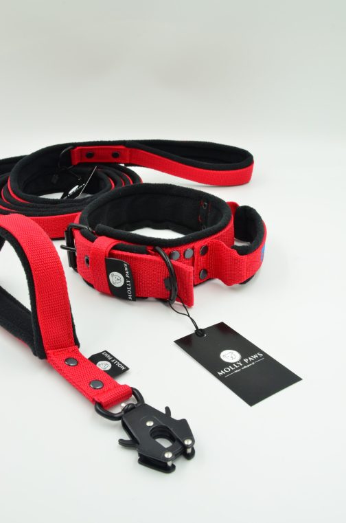 Smycz polarowa z dodatkowym uchwytem i haftem