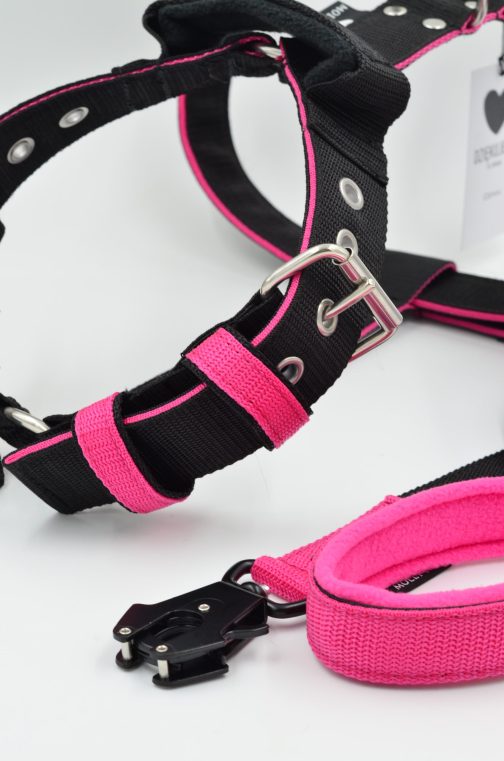 Szelki o szer.4cm Dwukolorowe STAL NIERDZEWNA - POLECANE