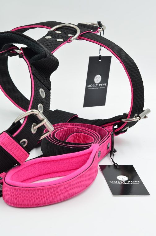 Szelki o szer.4cm Dwukolorowe STAL NIERDZEWNA - POLECANE