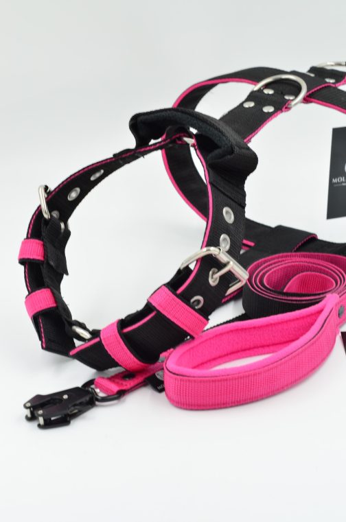 Szelki o szer.4cm Dwukolorowe STAL NIERDZEWNA - POLECANE