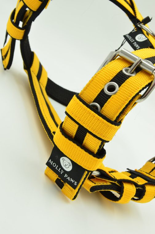 Szelki o szerokości 4cm z paskami STAL NIERDZEWNA - POLECANE