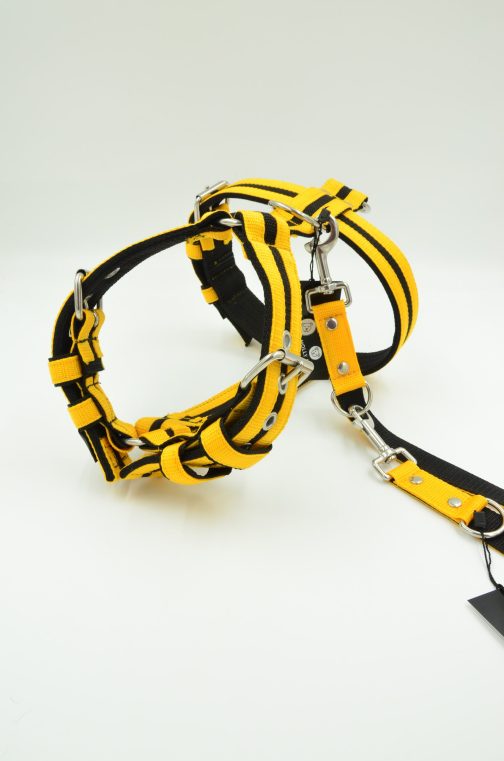 Szelki o szerokości 4cm z paskami STAL NIERDZEWNA - POLECANE