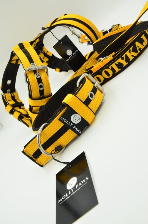 Szelki o szerokości 4cm z paskami STAL NIERDZEWNA - POLECANE