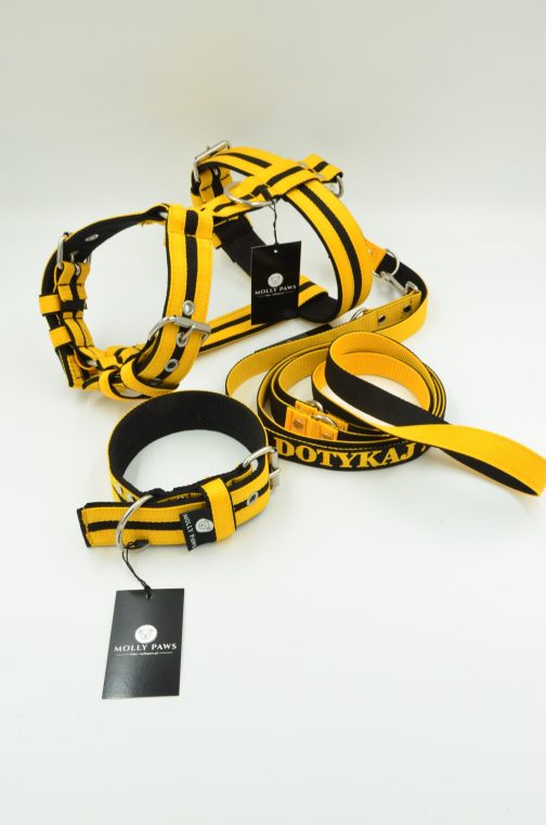 Szelki o szerokości 4cm z paskami STAL NIERDZEWNA - POLECANE