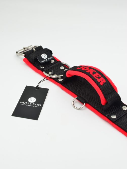 Obroża z uchwytem haftem i polarem o szer.5cm STAL NIERDZEWNA- POLECANE