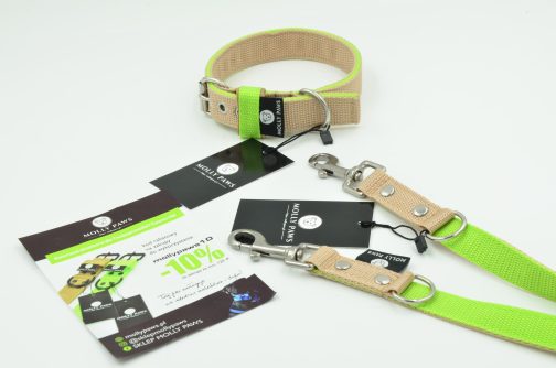 Kolorowa Obroża o szer. 2cm STAL NIERDZEWNA- POLECANE