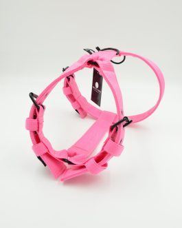 DSC_0657 Szelki o szerokości 4cm Lekkie