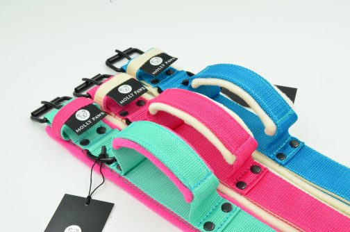 DSC_0804 Obroża dwukolorowa z Polarem i Uchwytem o szerokości 4cm