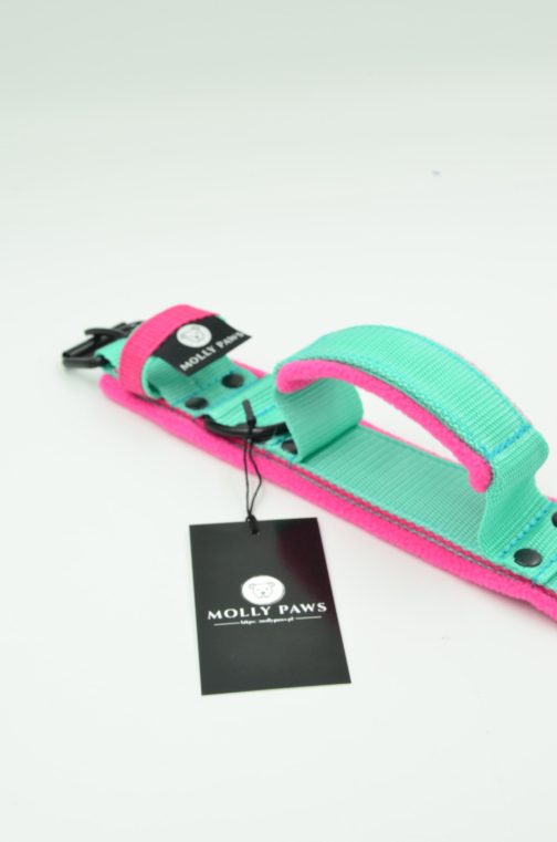 DSC_0811 Obroża dwukolorowa z Polarem i Uchwytem o szerokości 4cm