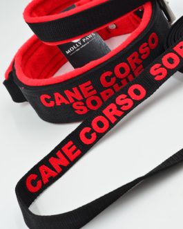 Smycz taktyczna z haftem dł.165cm