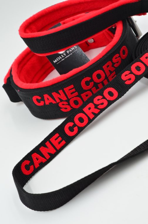 Smycz taktyczna z haftem dł.165cm