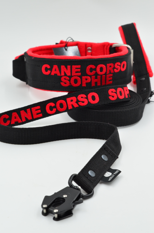 Smycz taktyczna z haftem dł.165cm