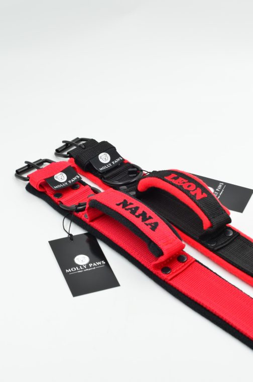 DSC_0895 Lekka Obroża z uchwytem haftem i polarem