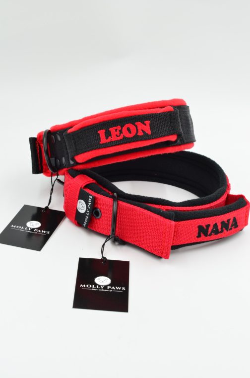 DSC_0903 Lekka Obroża z uchwytem haftem i polarem