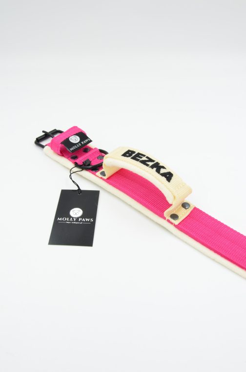 DSC_0954 Lekka Obroża z uchwytem i haftem dwa kolory szer. 4cm