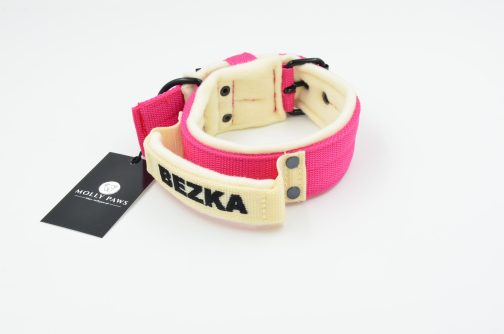 DSC_0962 Lekka Obroża z uchwytem i haftem dwa kolory szer. 4cm