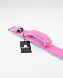 DSC_1031 Obroża dwukolorowa z Uchwytem o szer. 4cm STAL NIERDZEWNA - POLECANE