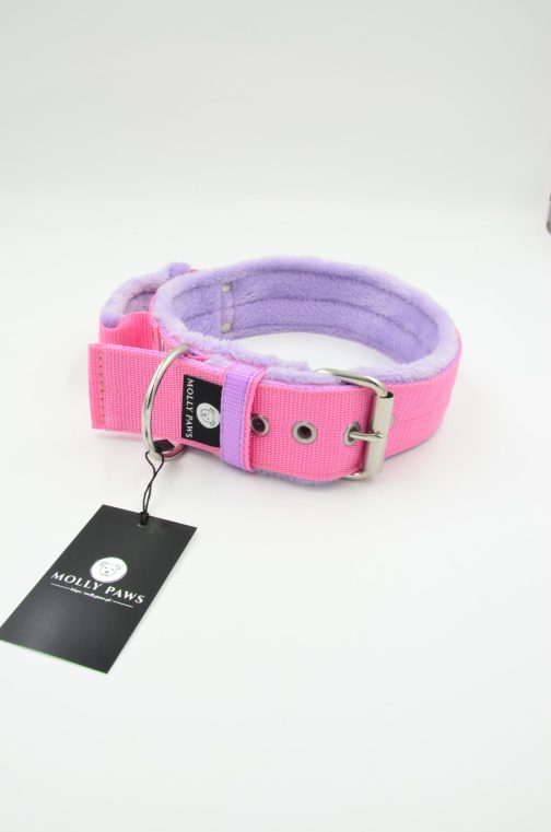 Obroża dwukolorowa z Uchwytem o szer. 4cm STAL NIERDZEWNA - POLECANE