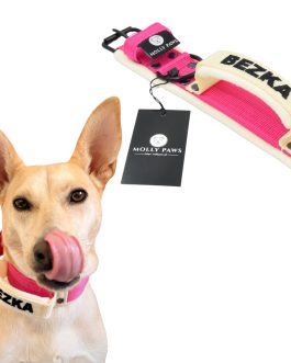 Lekka Obroża z uchwytem i haftem dwa kolory szer. 4cm