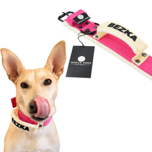 Projekt bez nazwy (4) Lekka Obroża z uchwytem i haftem dwa kolory szer. 4cm