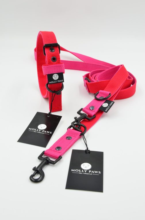 DSC_0185 Smycz przepinana lekka DWUKOLOROWA