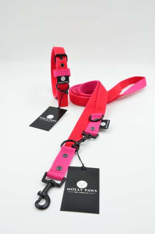 DSC_0190 Smycz przepinana lekka DWUKOLOROWA