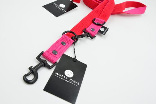 DSC_0191 Smycz przepinana lekka DWUKOLOROWA