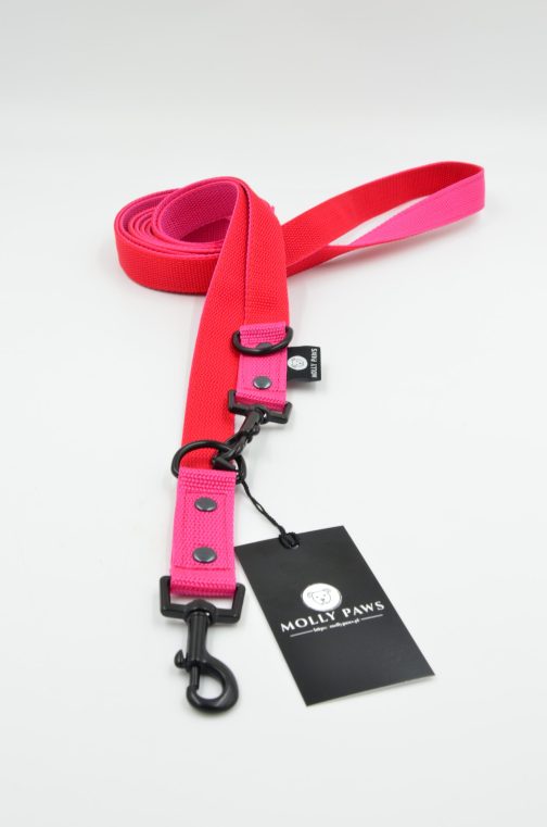 DSC_0192 Smycz przepinana lekka DWUKOLOROWA