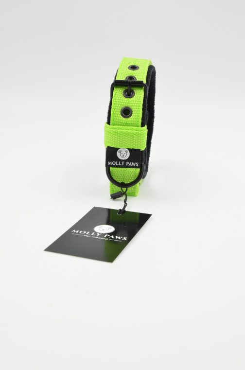 Lekka Obroża z polarem o szerokości 2cm