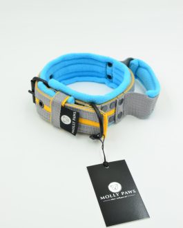 Obroża z kolorowymi paskami i rączką