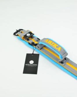 DSC_0468 Obroża lekka z rączką i kolorowymi paskami