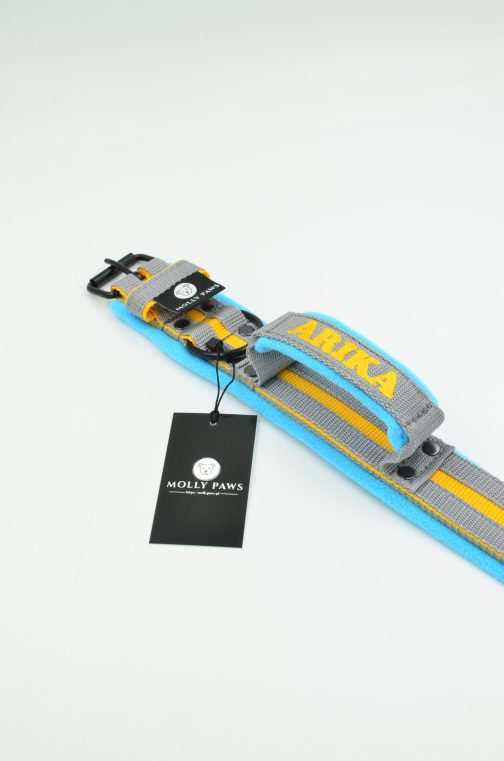 Obroża lekka z rączką i kolorowymi paskami