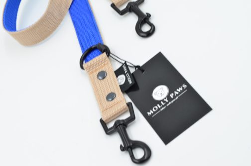 DSC_0606 Smycz przepinana lekka DWUKOLOROWA