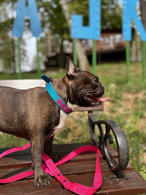 Lekka Kolorowa Obroża o szer, 2.5cm z haftem