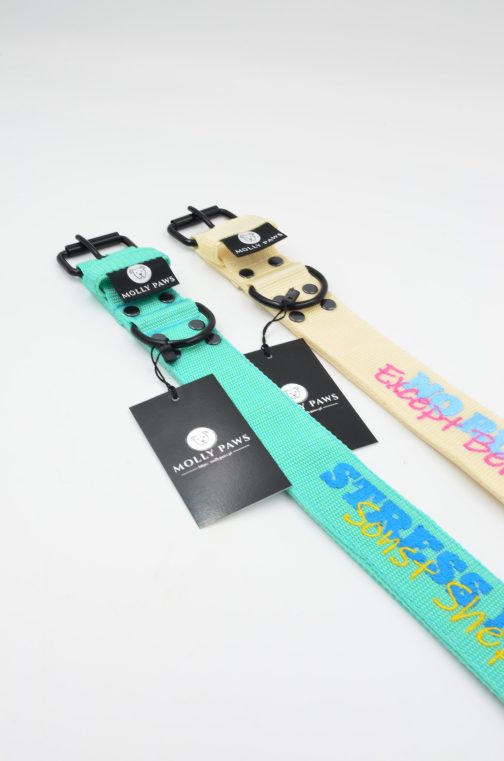 DSC_0411 Obroża o szerokości 4cm z podwójnym haftem