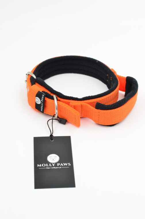 Obroża z Uchwytem o szer.3cm STAL NIERDZEWNA - POLECANE