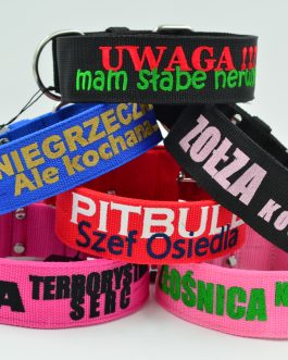 Obroża z podwójnym haftem STAL NIERDZEWNA - POLECANE