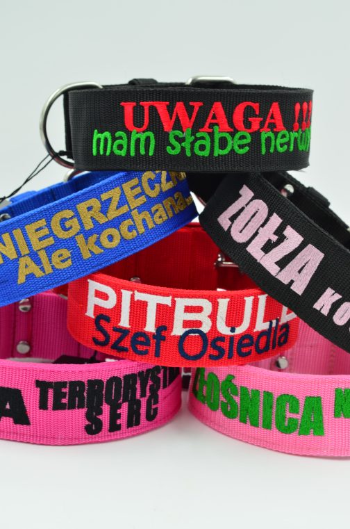 DSC_0797 Obroża z podwójnym haftem STAL NIERDZEWNA - POLECANE