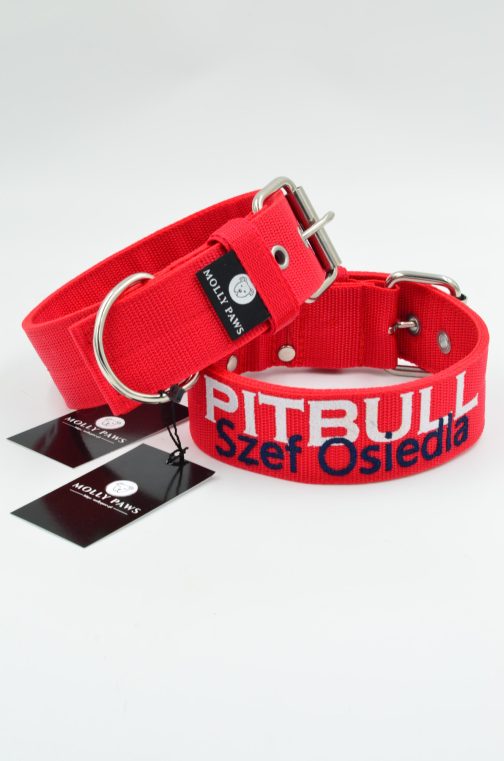 DSC_0817 Obroża z podwójnym haftem STAL NIERDZEWNA - POLECANE