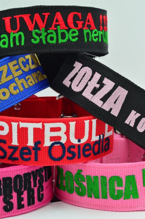 DSC_0821 Obroża z podwójnym haftem STAL NIERDZEWNA - POLECANE