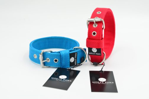 DSC_0926 Obroża o szer. 3cm STAL NIERDZEWNA- POLECANE