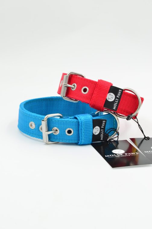 DSC_0930 Obroża o szer. 3cm STAL NIERDZEWNA- POLECANE