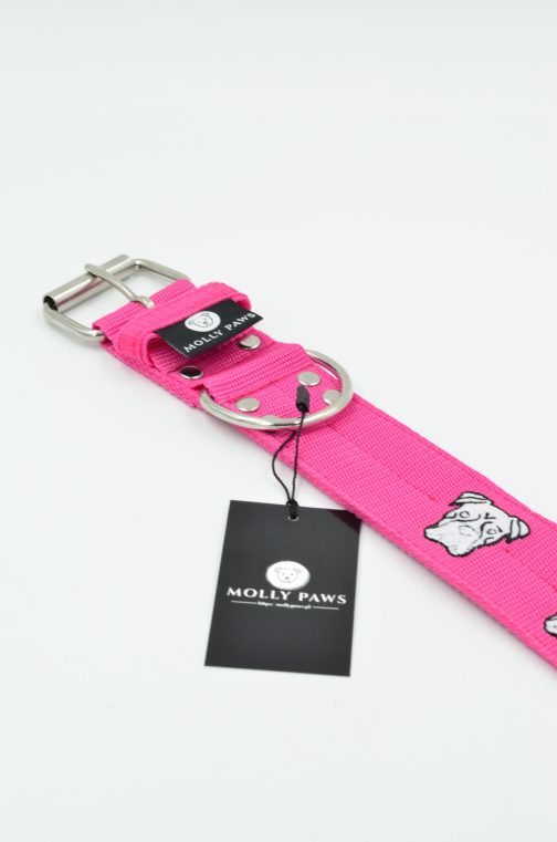 DSC_0235 Obroża BOKSER