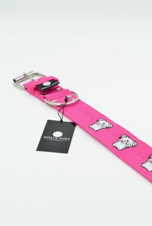 DSC_0236 Obroża BOKSER