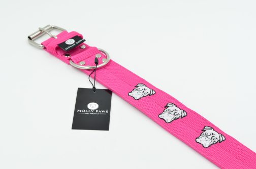 DSC_0241 Obroża BOKSER