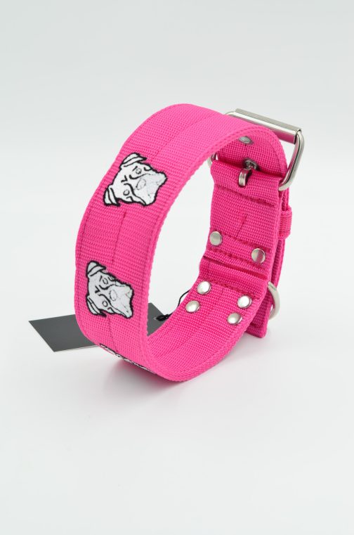 DSC_0248 Obroża BOKSER